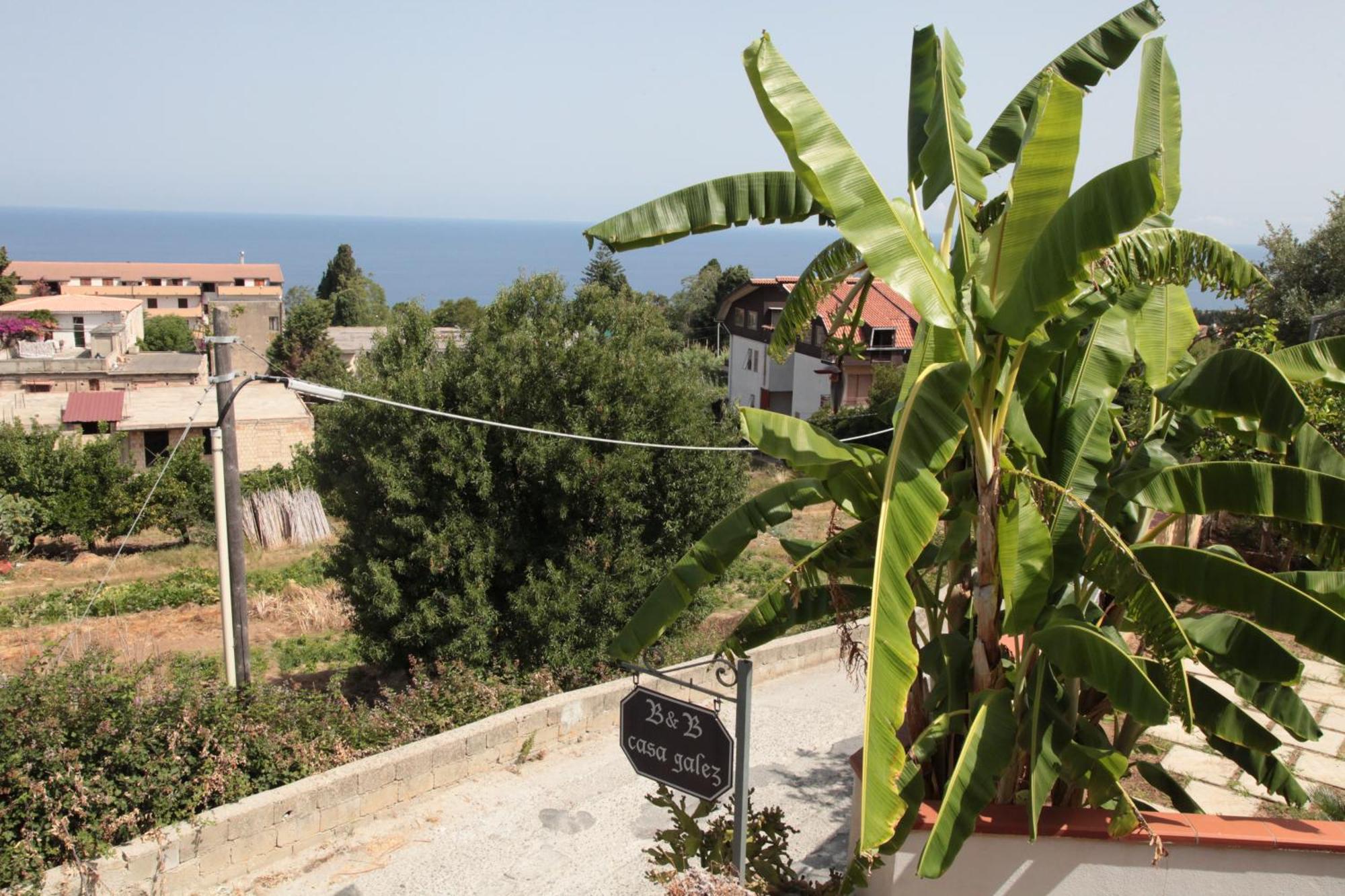 Bed And Breakfast Casagalez Santa Domenica  Eksteriør bilde