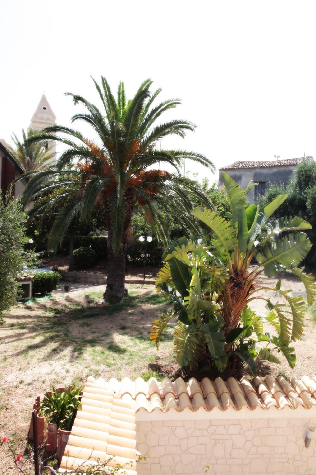 Bed And Breakfast Casagalez Santa Domenica  Eksteriør bilde